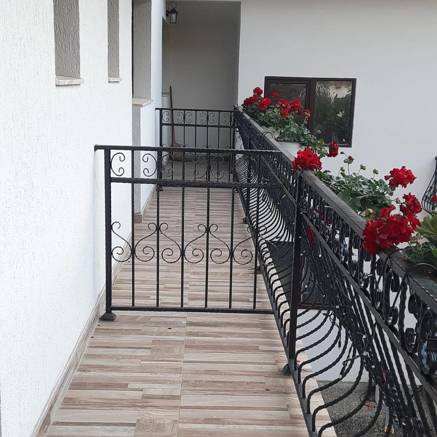 Casa Dana Olteanu Ξενοδοχείο Moeciu De Sus Εξωτερικό φωτογραφία